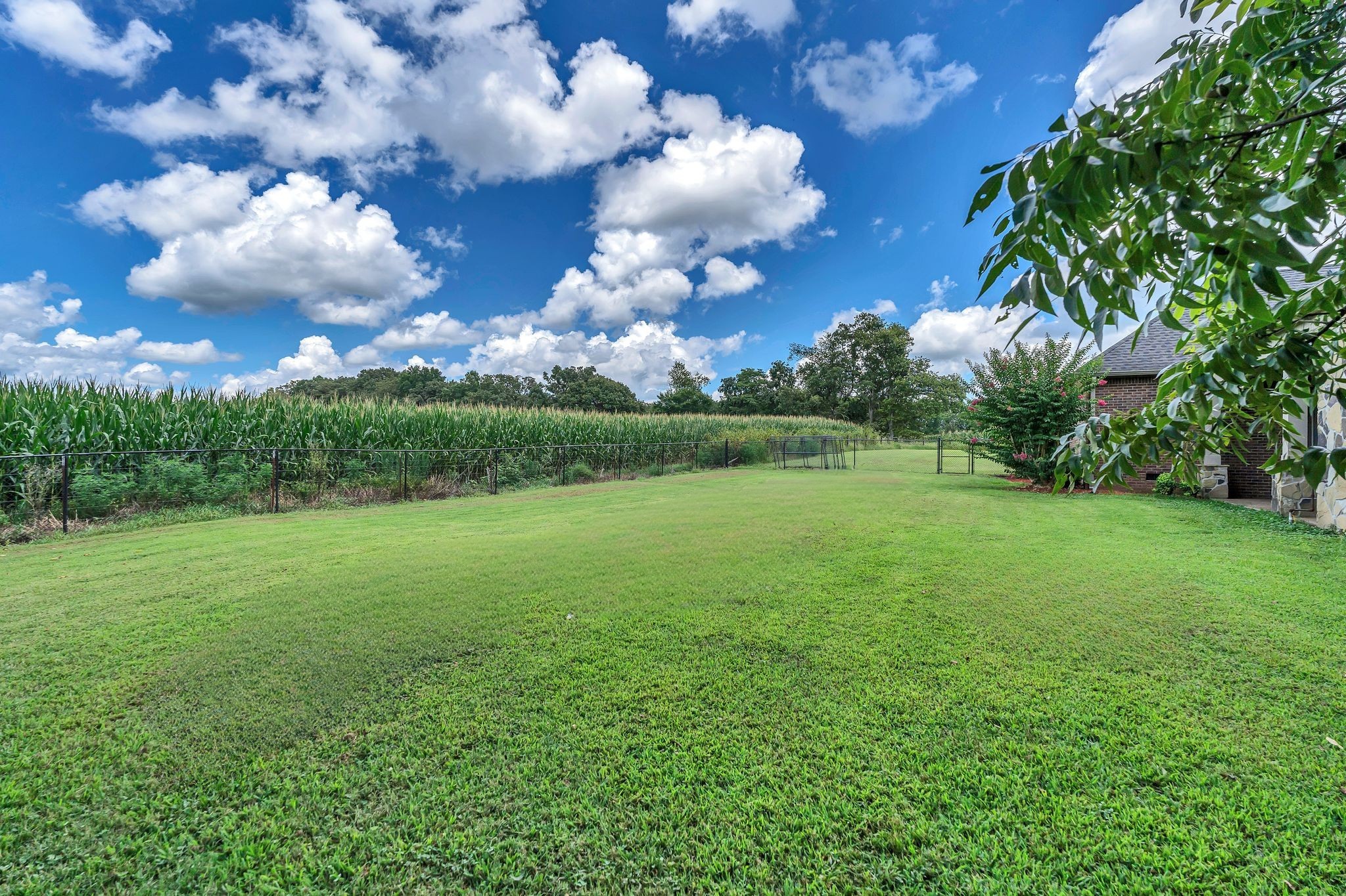 1395 Ragsdale Road Manchester, TN 37355 - Photo 46 of 52 a view of a big yard with lots of green space