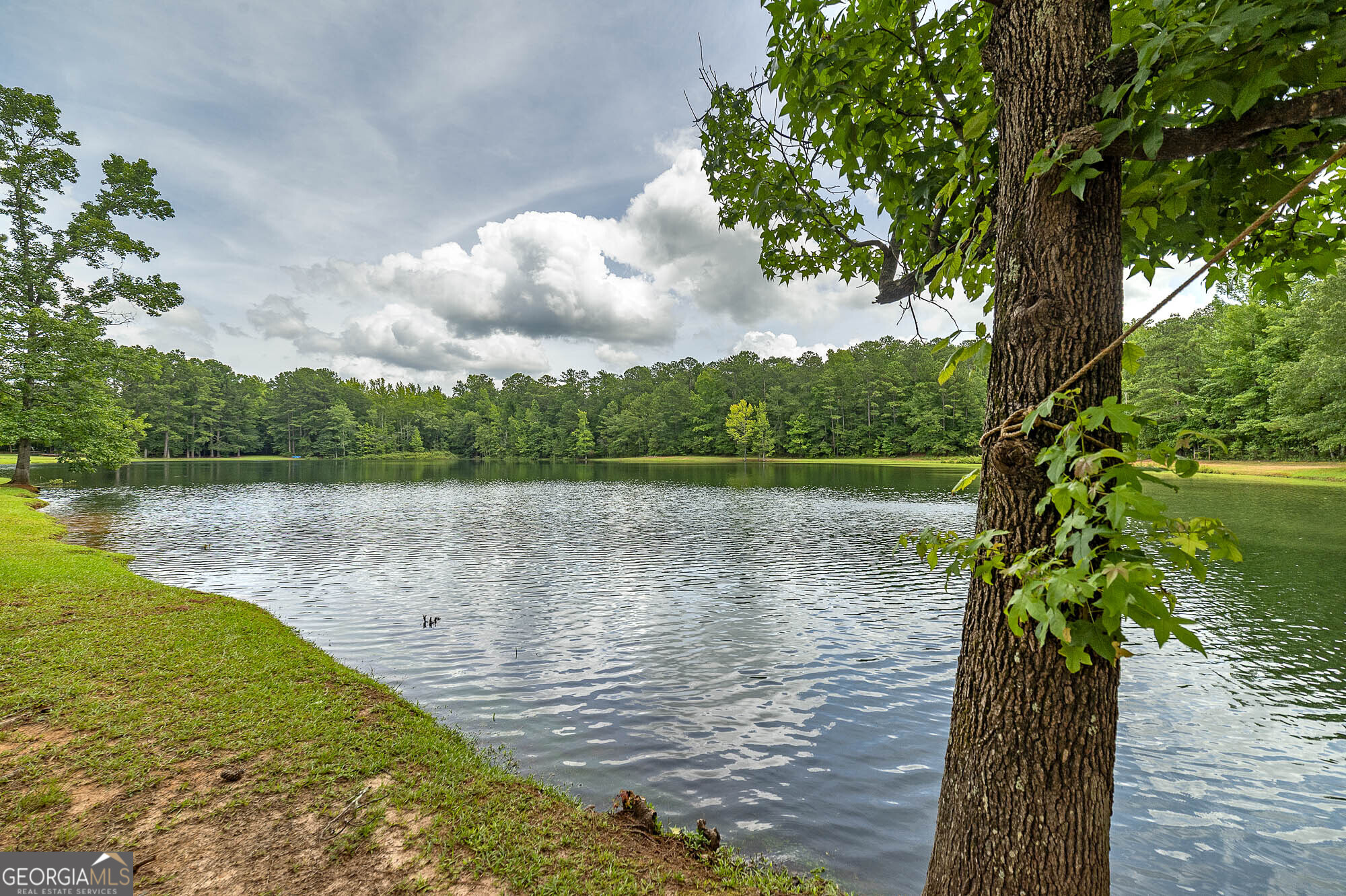 926 Perkins Road Milner, GA 30257 - Photo 6 of 61