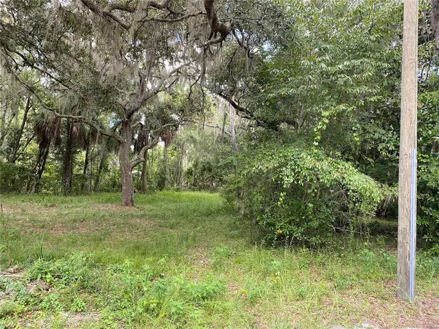 $45,000 | 448 C Cr Lake, Lake Panasoffkee, FL 33538