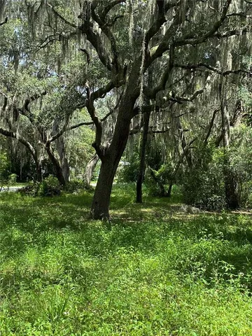 $45,000 | 448 C Cr Lake, Lake Panasoffkee, FL 33538