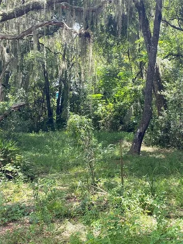 $45,000 | 448 C Cr Lake, Lake Panasoffkee, FL 33538