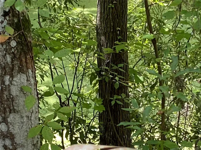 $45,000 | 448 C Cr Lake, Lake Panasoffkee, FL 33538