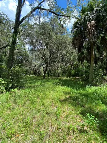 $45,000 | 448 C Cr Lake, Lake Panasoffkee, FL 33538