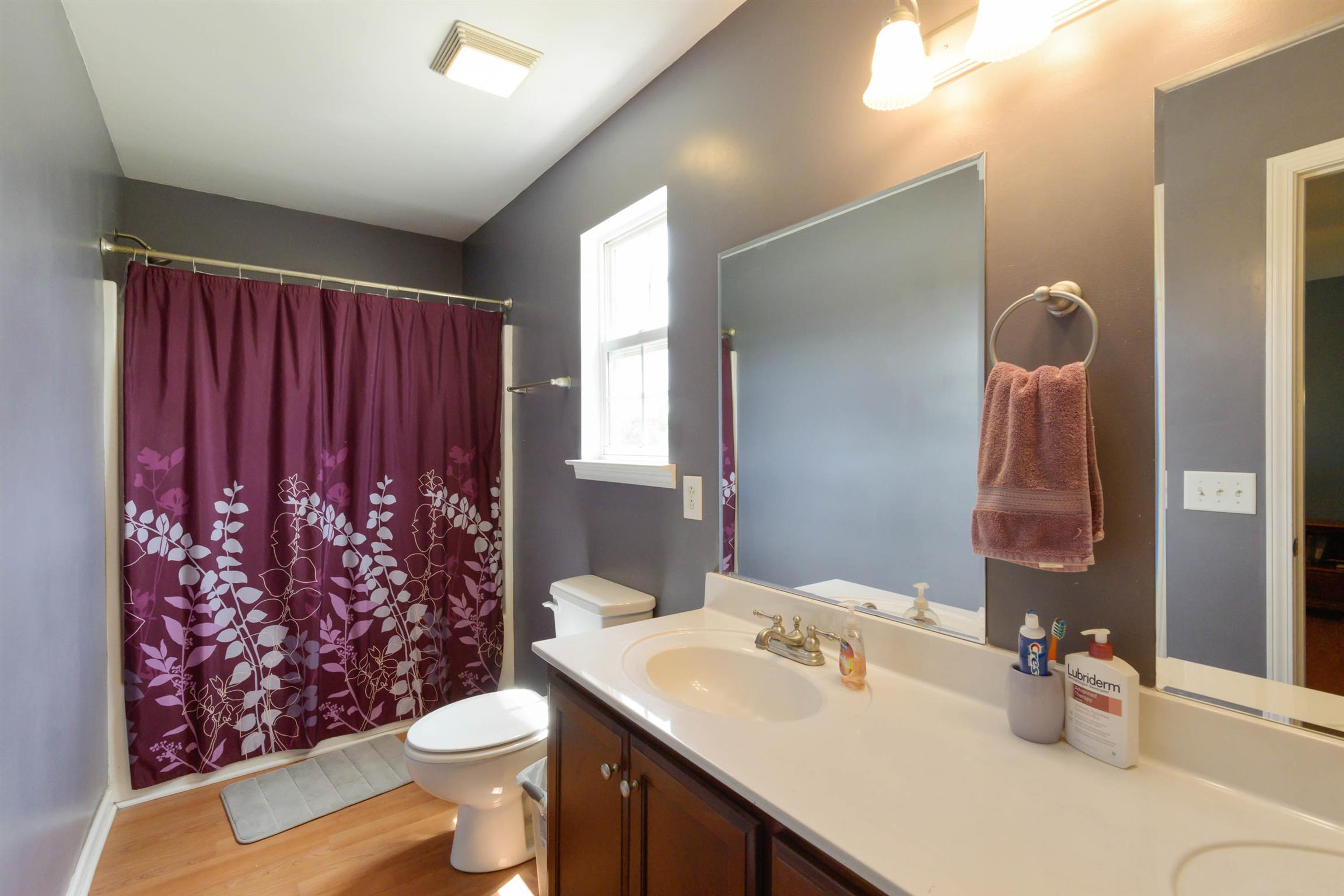 5184 Youngville Road Springfield, TN 37172 - Photo 19 of 29 a bathroom with a toilet sink and mirror
