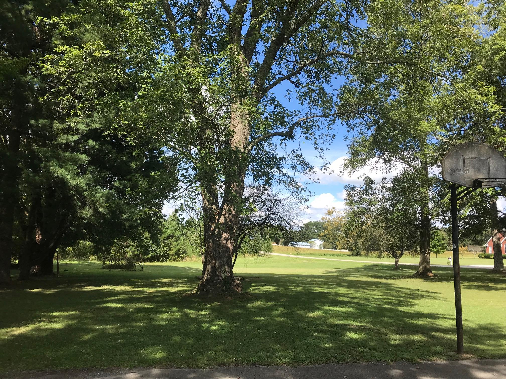 413 Shelton Road Manchester, TN 37355 - Photo 2 of 18 a view of a trees in a yard