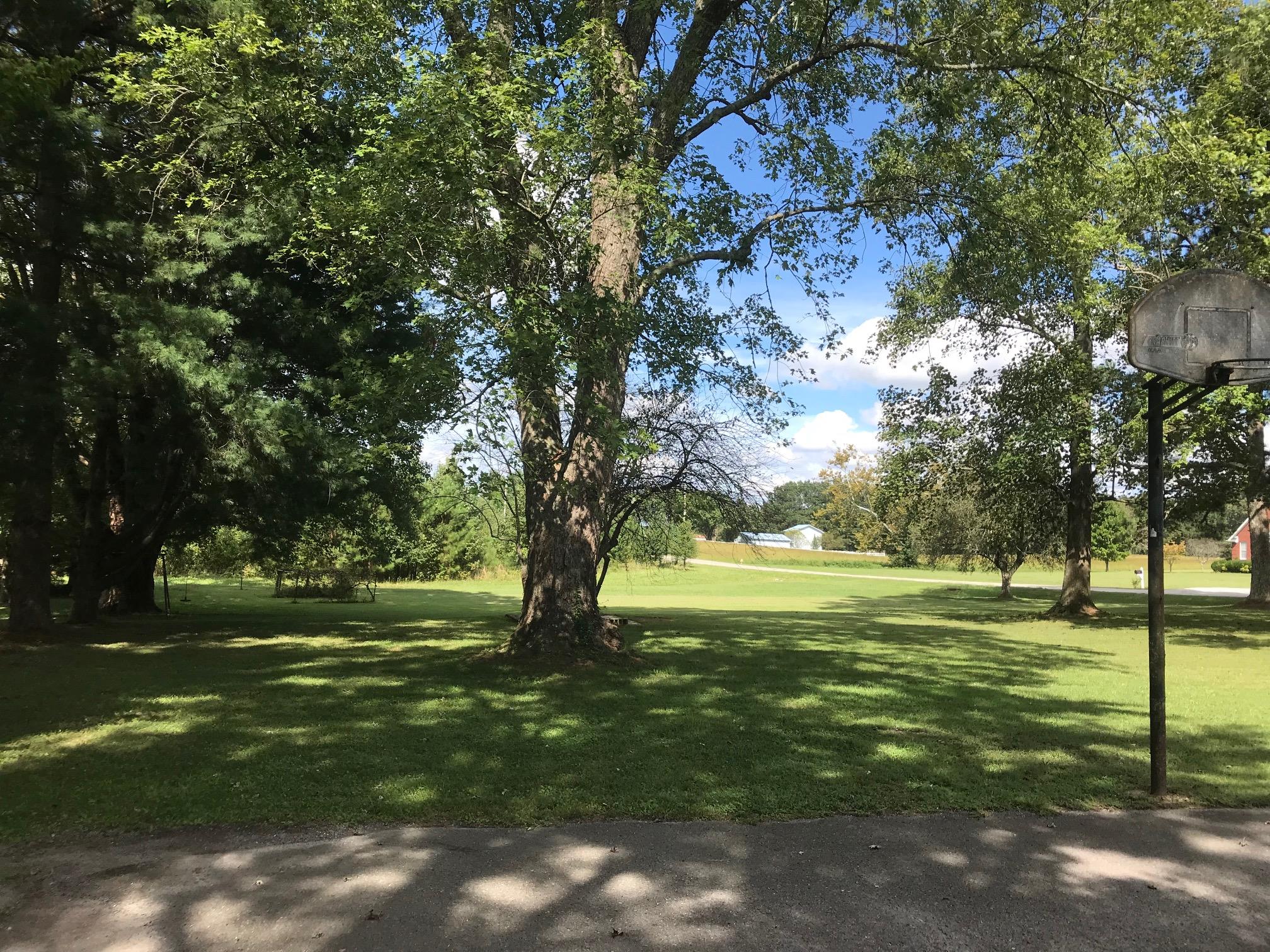 413 Shelton Road Manchester, TN 37355 - Photo 17 of 18 a view of a trees in a yard