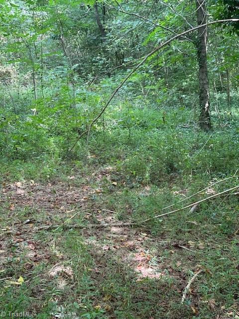 7107 Prospect Church Road Thomasville, NC 27360 - Photo 3 of 8 Gallery Image 3