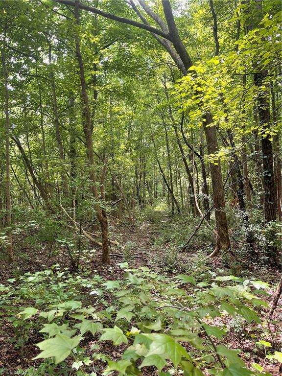 7107 Prospect Church Road Thomasville, NC 27360 - Photo 5 of 8 Gallery Image 5