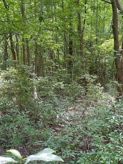 7107 Prospect Church Road Thomasville, NC 27360 - Photo 7 of 8 Gallery Image 7