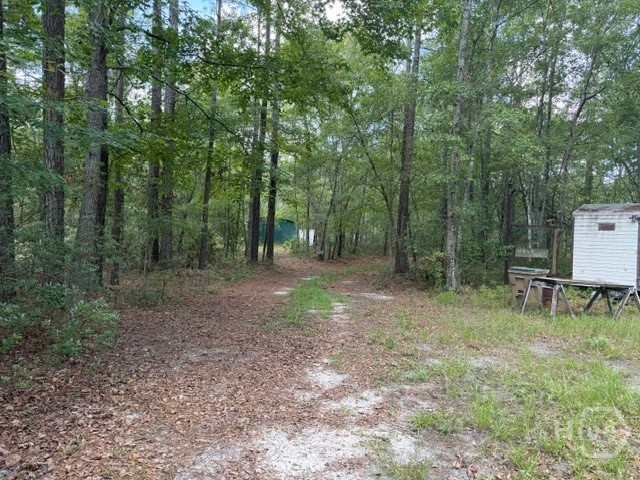 704 Mack English Road Ellabell, GA 31308 - Photo 6 of 57