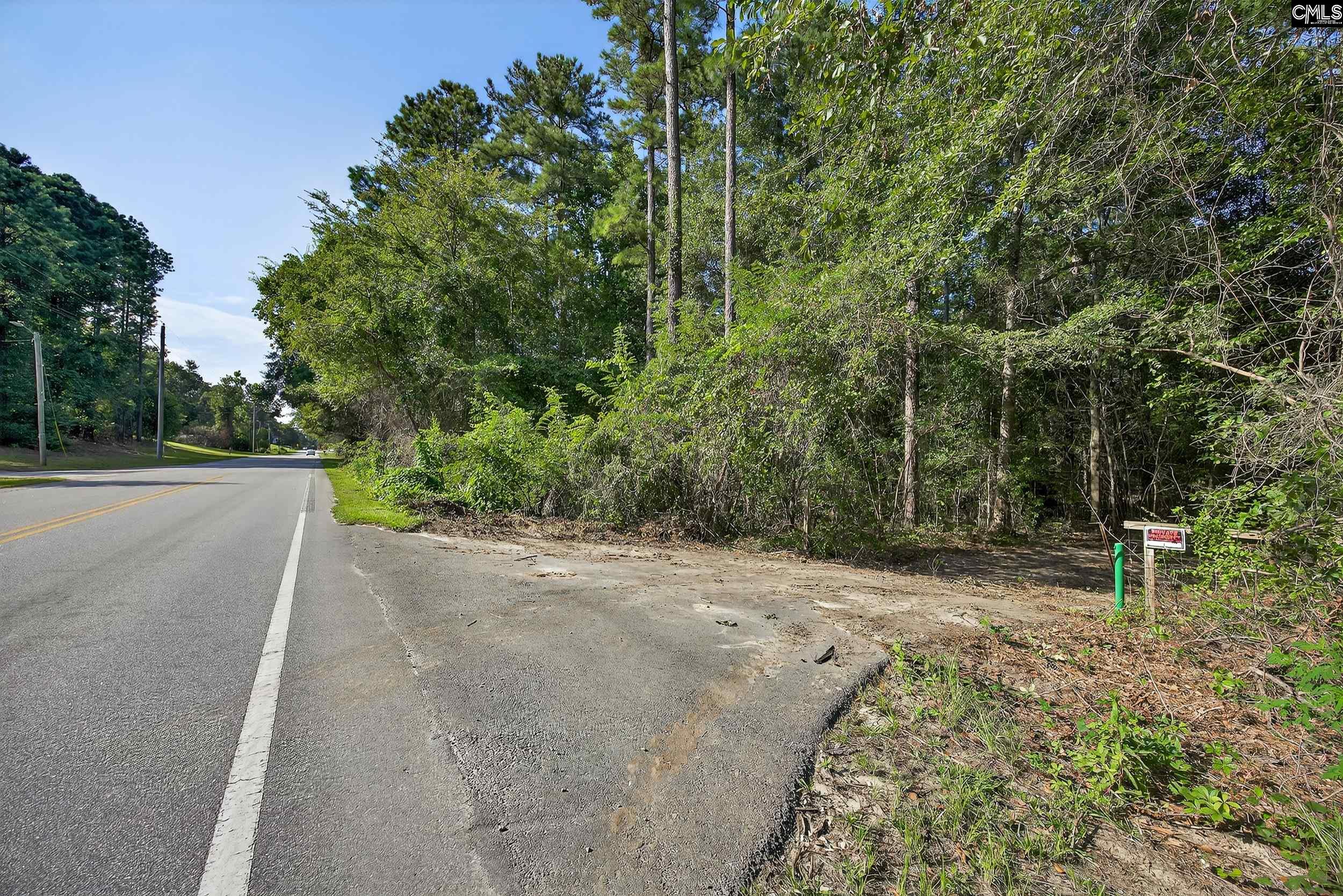 0 Juniper Springs Road, Unit PARCEL A Gilbert, SC 29054 - Photo 6 of 8
