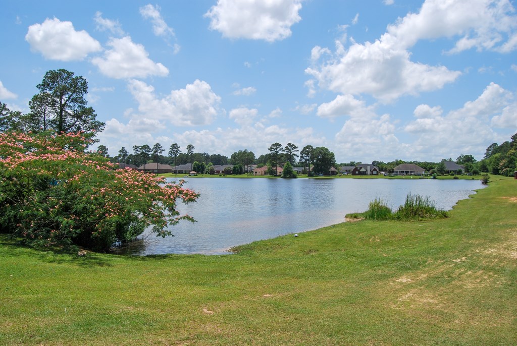 326 Cotton Ridge Lane Dothan, AL 36301 - Photo 3 of 72