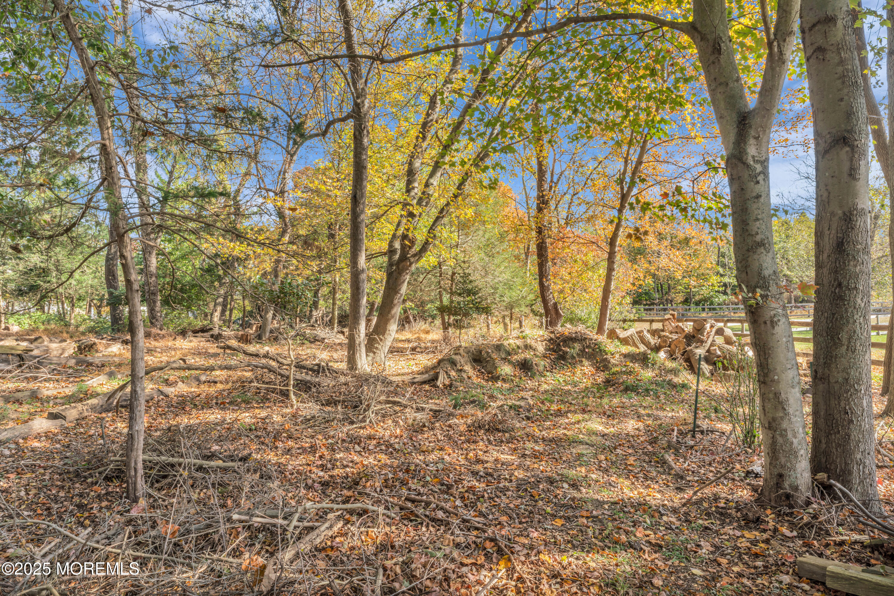 35 Merrick Road Farmingdale, NJ 07727 - Photo 36 of 47 Beyong fenced area