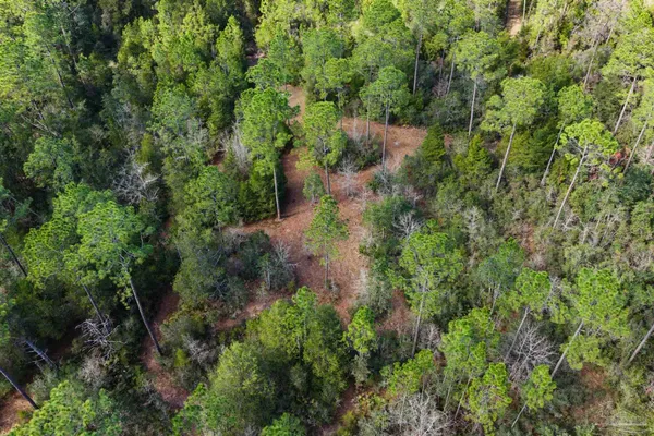 $299,000 | 10736 County Road 83, Elberta, AL 36530
