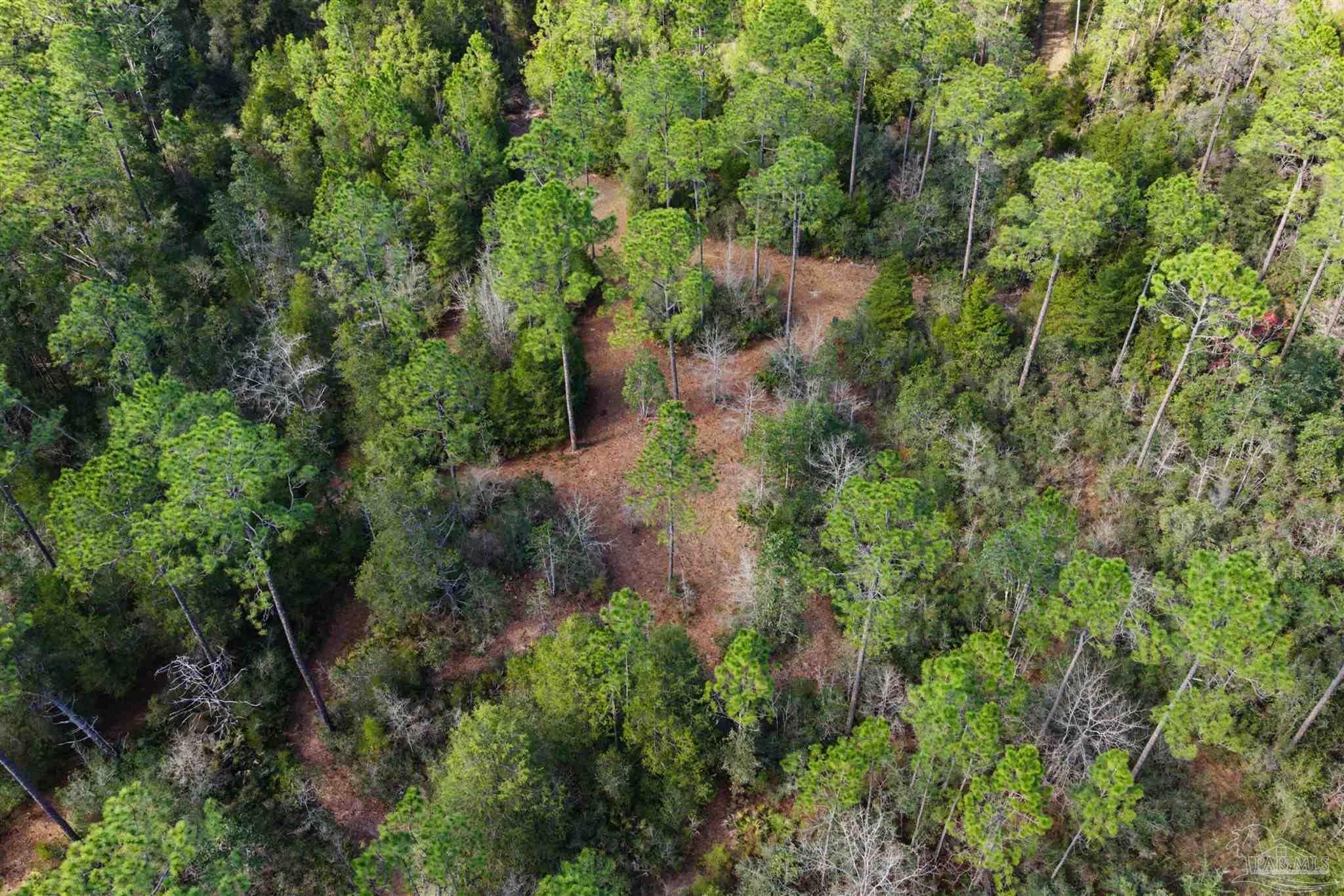 10736 County Road 83 Elberta, AL 36530 - Photo 15 of 15 an aerial view of residential house with outdoor space and trees all around