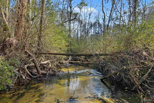 a view of a lake with trees