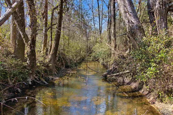 a view of water with a tree