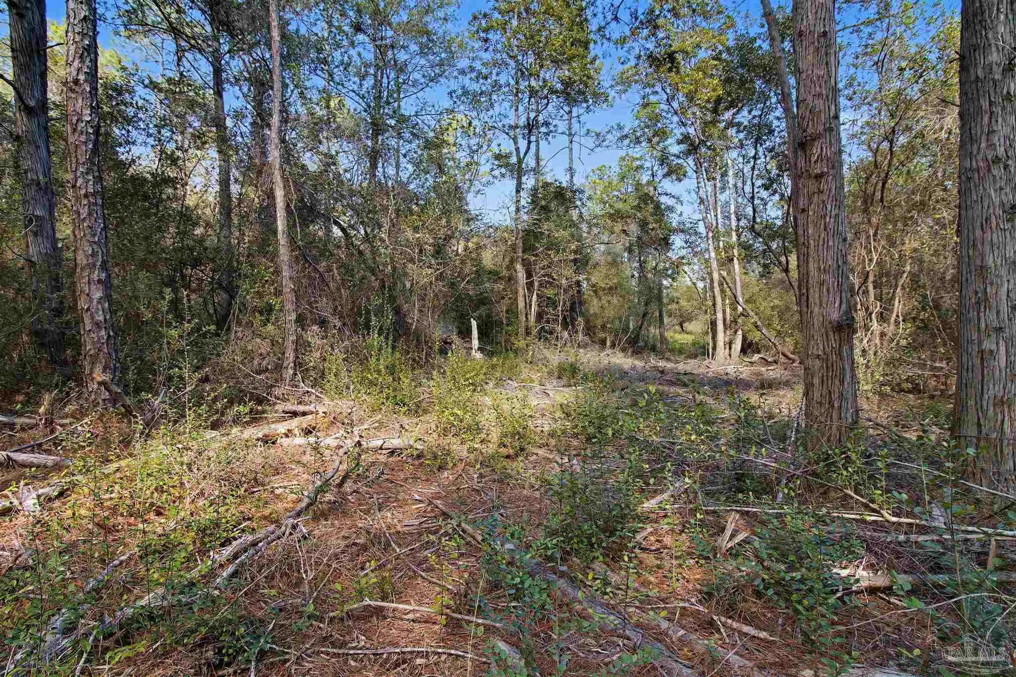 10736 County Road 83 Elberta, AL 36530 - Photo 5 of 15 a view of outdoor space and green space