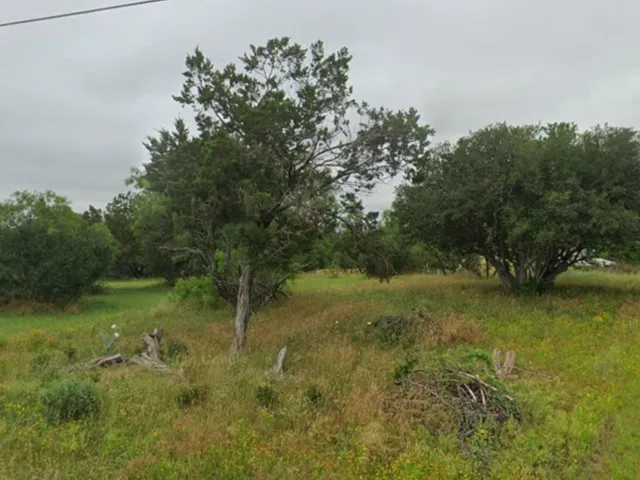 a view of a lush green space