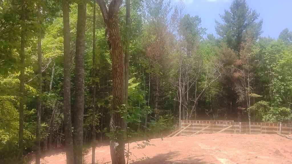 8 Hawks Nest Road Blairsville, GA 30512 - Photo 11 of 30