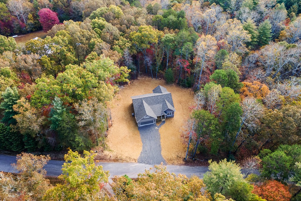 8 Hawks Nest Road Blairsville, GA 30512 - Photo 28 of 30 a view of a fire pit with flower plants