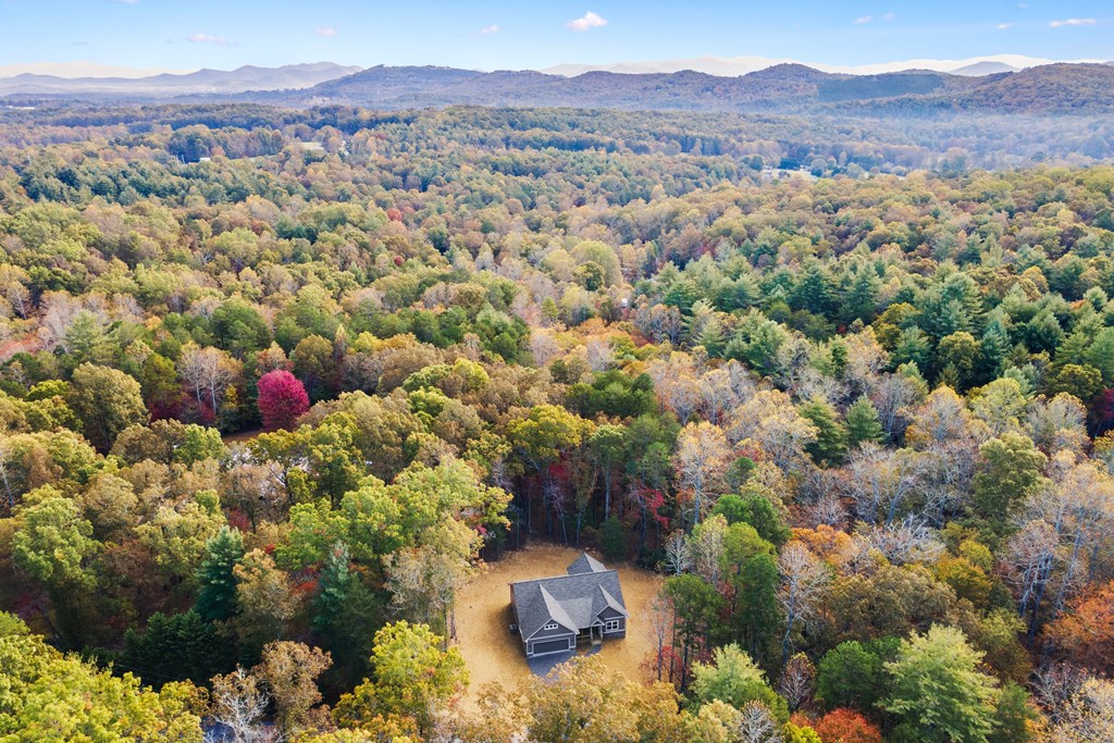 8 Hawks Nest Road Blairsville, GA 30512 - Photo 29 of 30 a view of a and covered mountains
