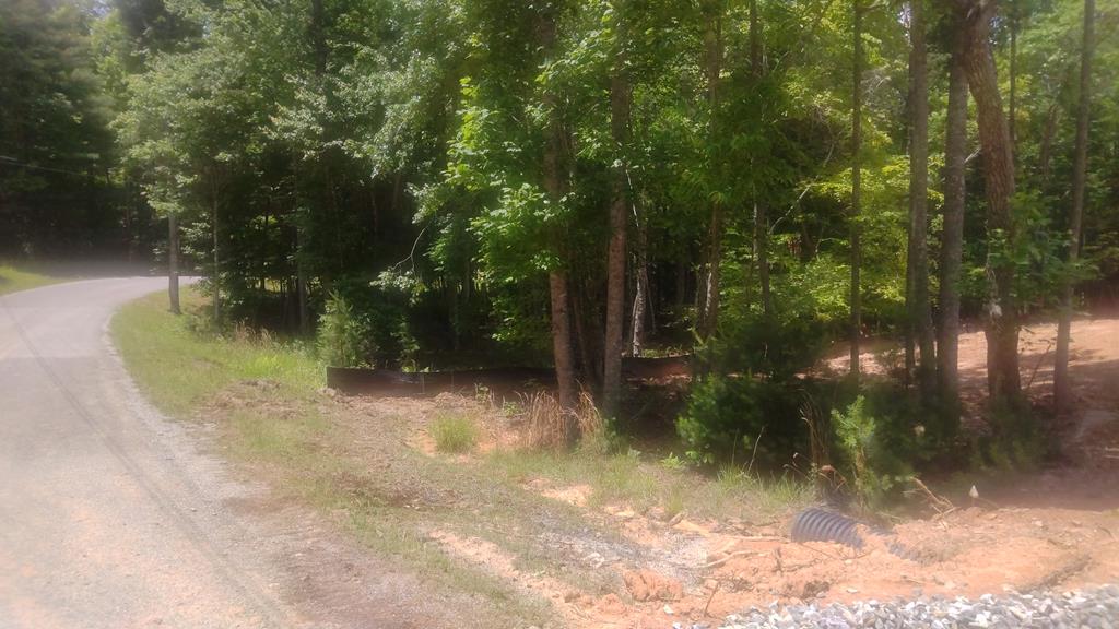 8 Hawks Nest Road Blairsville, GA 30512 - Photo 10 of 30 a view of a tree in a yard