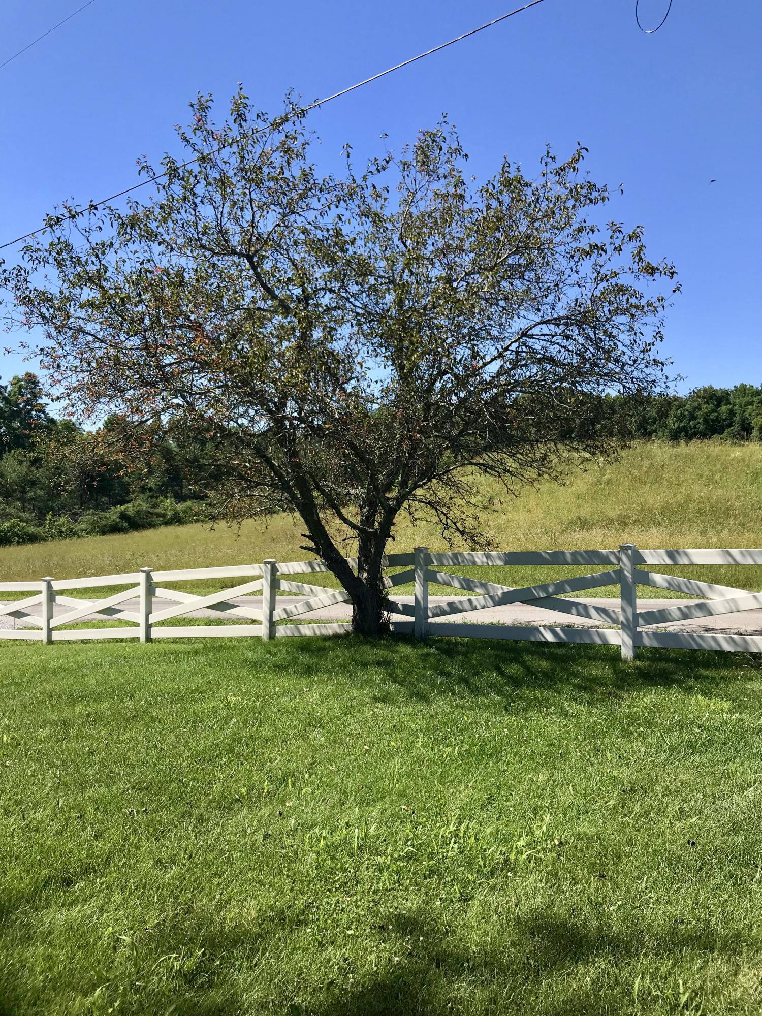 1806 Keyes Road Crossville, TN 38571 - Photo 32 of 34 fullsizeoutput_7a2