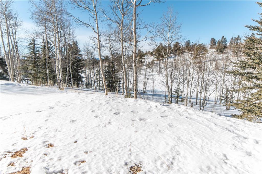 556 Bowstring Como, CO 80456 - Photo 26 of 32 Gallery Image 26