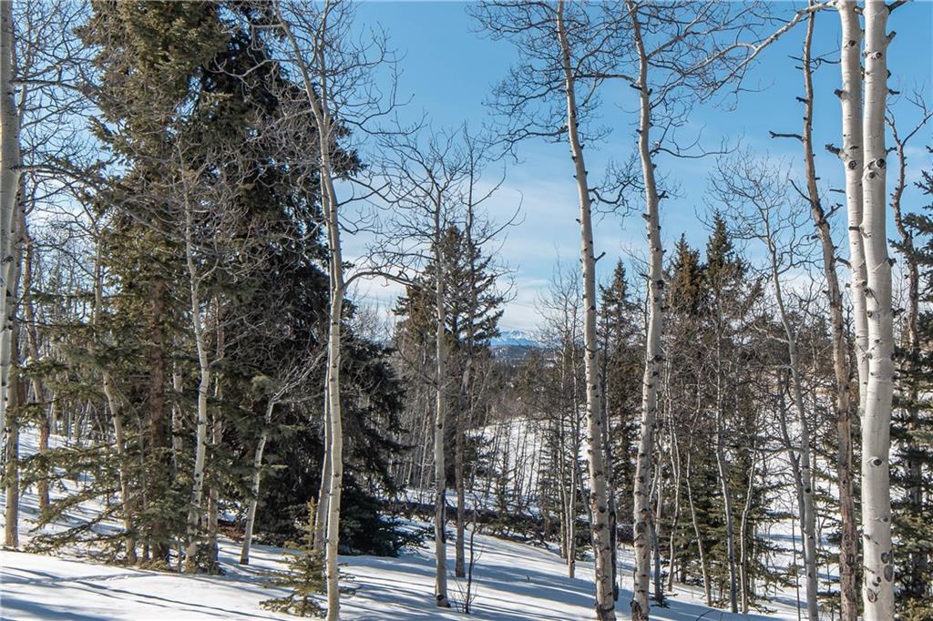 556 Bowstring Como, CO 80456 - Photo 27 of 32 Gallery Image 27