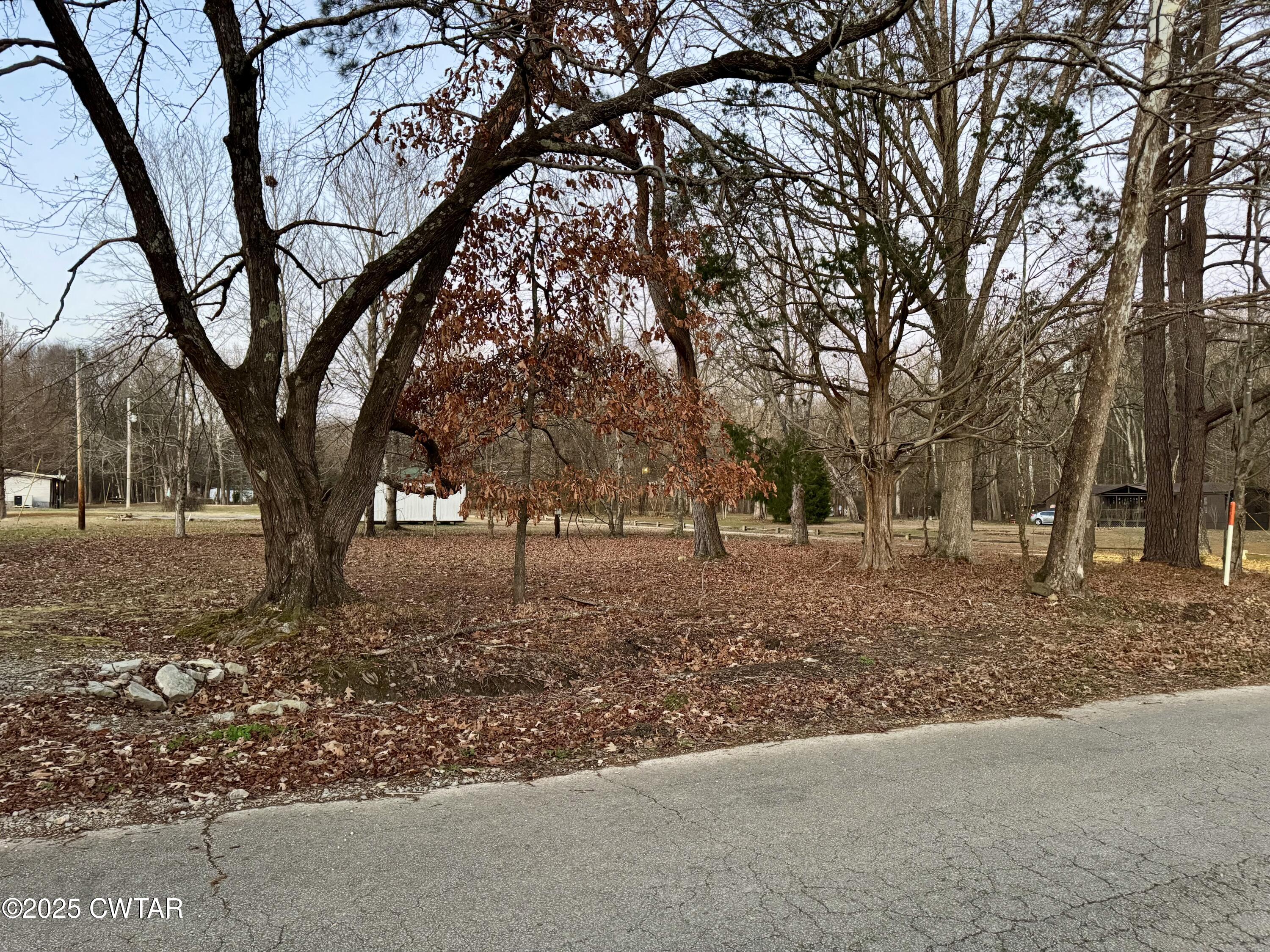 0 Sulphur Creek Road Big Sandy, TN 38221 - Photo 2 of 8 a view of outdoor space with trees