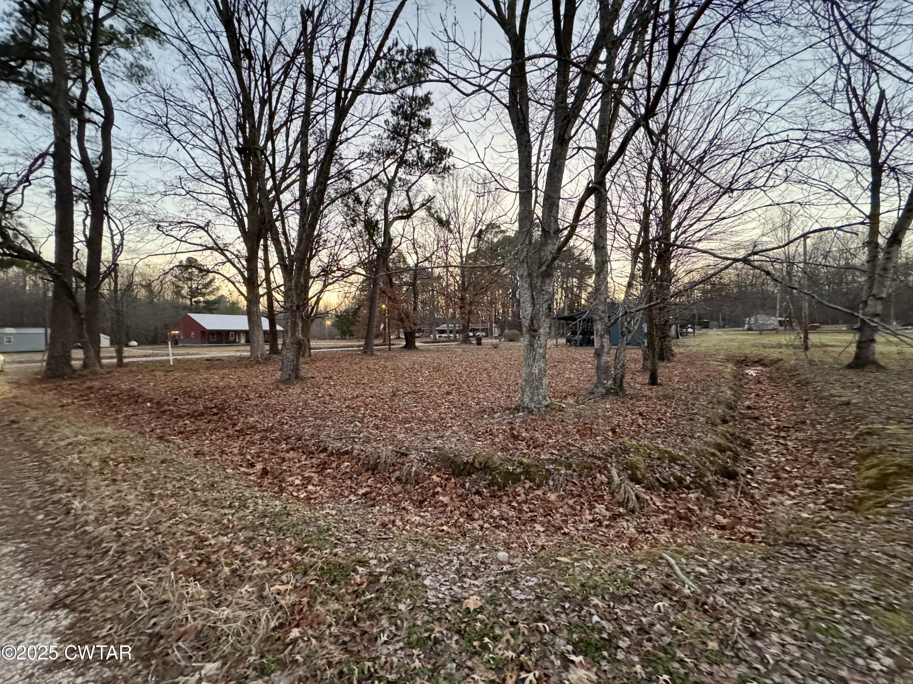0 Sulphur Creek Road Big Sandy, TN 38221 - Photo 3 of 8 a view of yard with trees