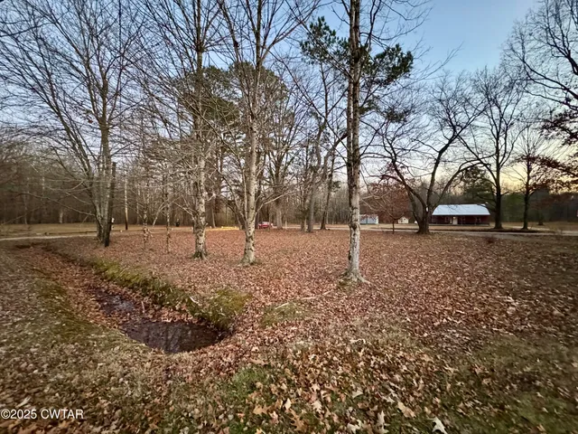 a view of yard with trees