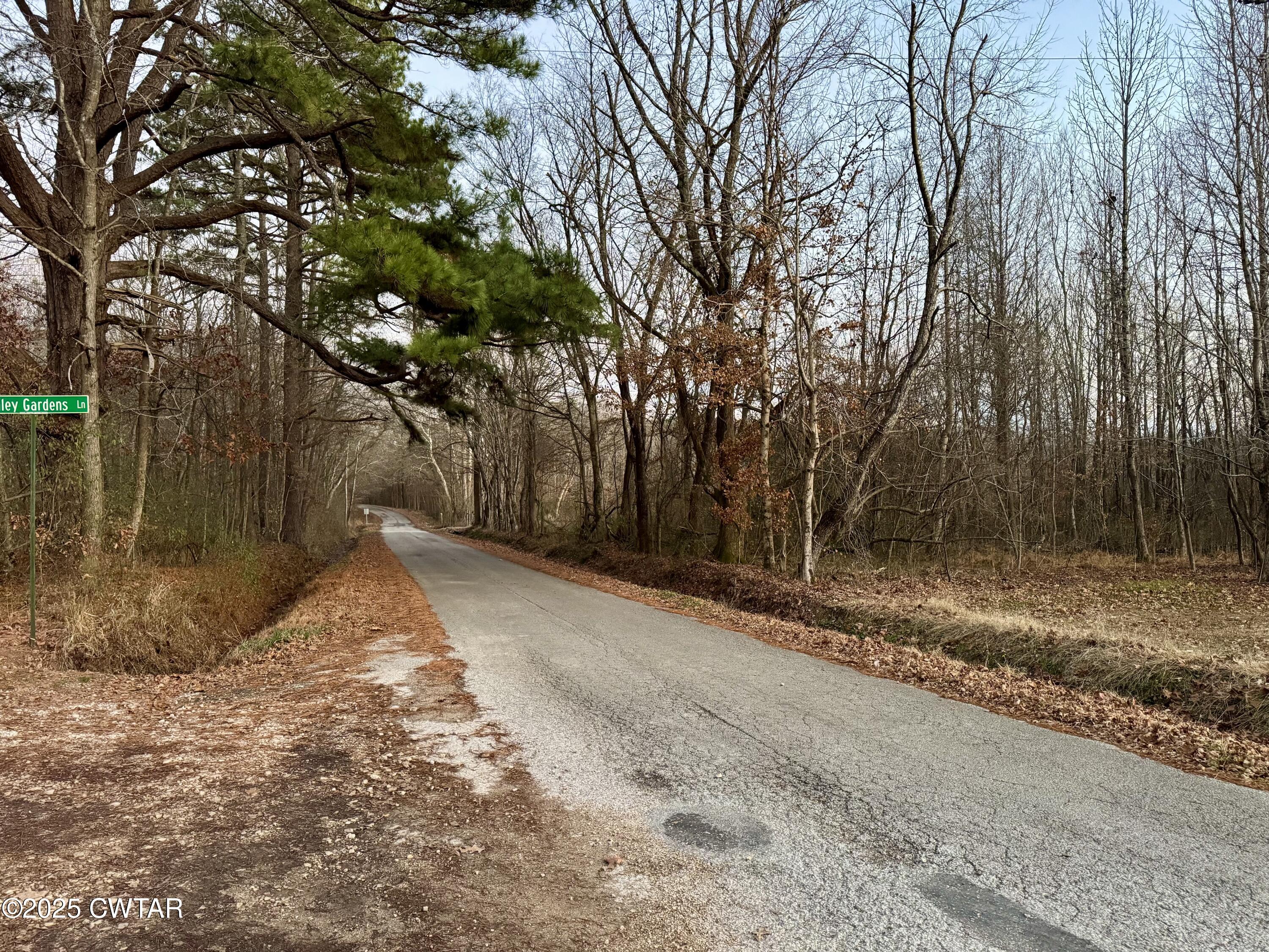 0 Sulphur Creek Road Big Sandy, TN 38221 - Photo 8 of 8 a view of a yard with trees beside of it