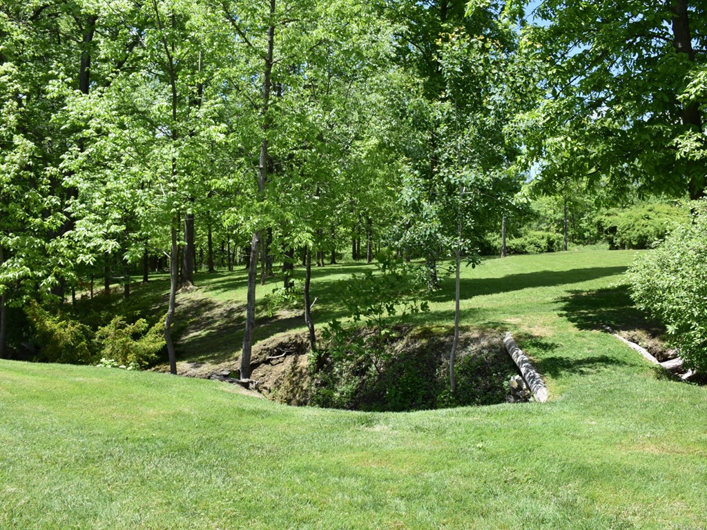 10681 Cutter Road Meadville, PA 16335 - Photo 6 of 29 a view of a field with a tree