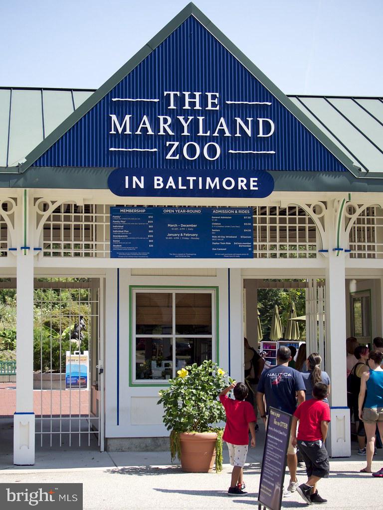 331 Rossiter Avenue Baltimore, MD 21212 - Photo 19 of 28 a view of a house with outdoor space