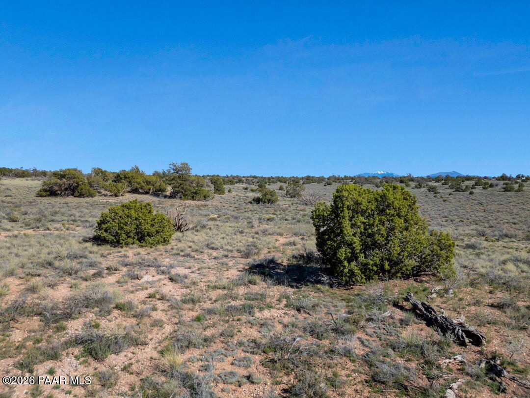 5355 North Alta Villa Road Williams, AZ 86046 - Photo 7 of 13 Lot View