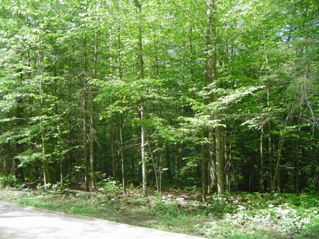 T/b/d Cedar Dell Road Ellison Bay, WI 54210 - Photo 4 of 4