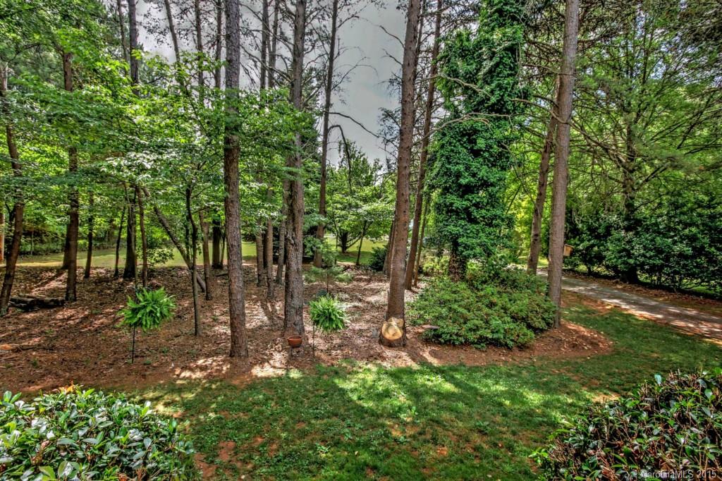 10631 Bailey Road Cornelius, NC 28031 - Photo 21 of 24 Gallery Image 21