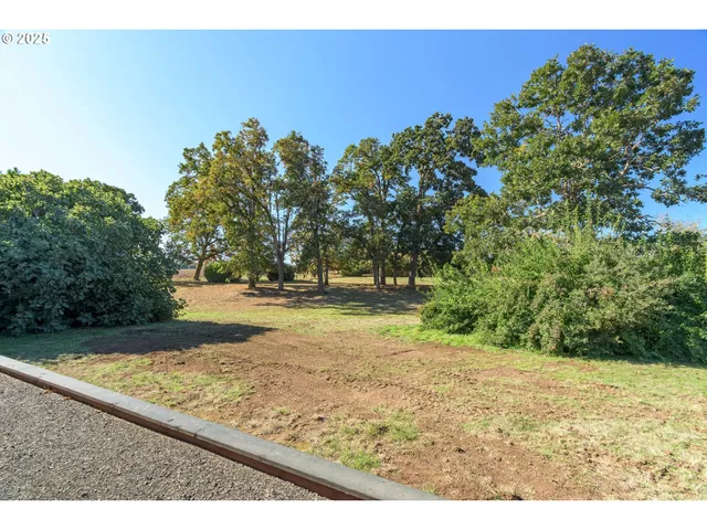 a view of a yard with a tree