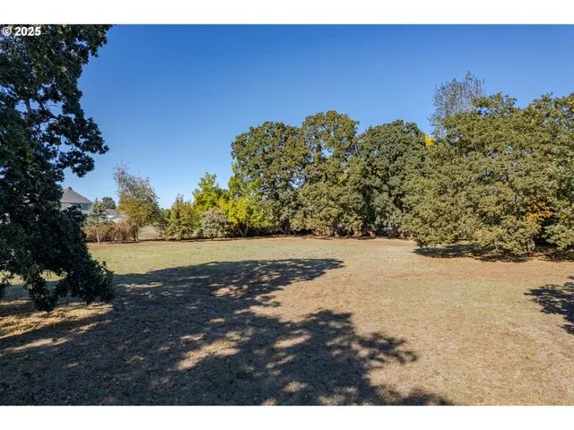 a view of outdoor space and yard
