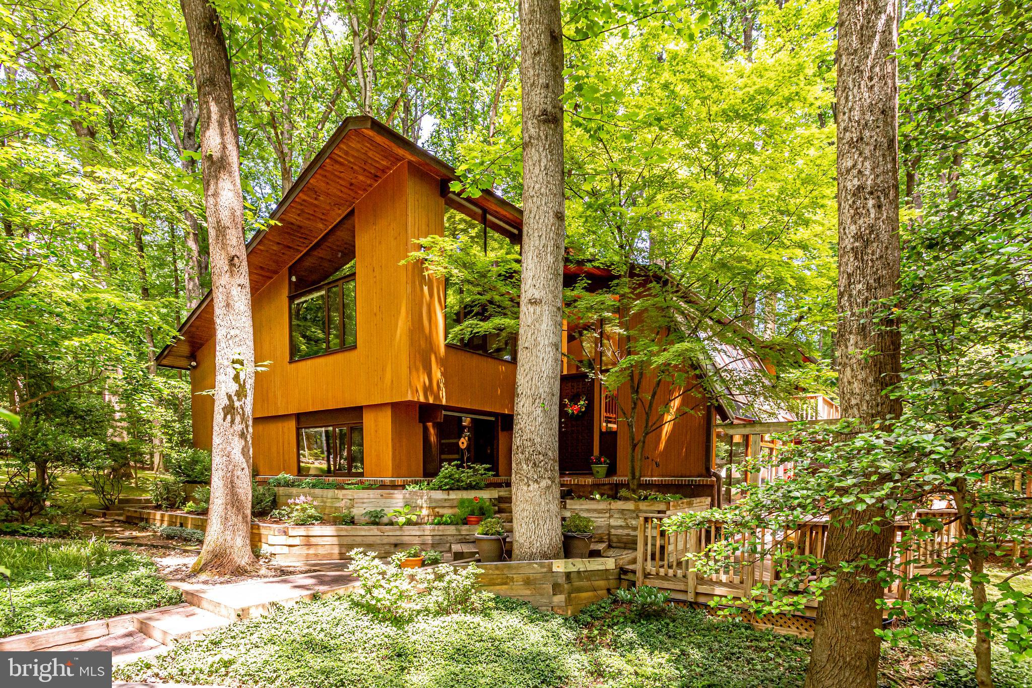 11606 Foxclove Road Reston, VA 20191 - Photo 6 of 80 Your Very Own Treehouse