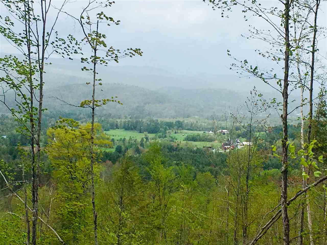 0 Moses Clark Road Landaff, NH 03585 - Photo 1 of 9