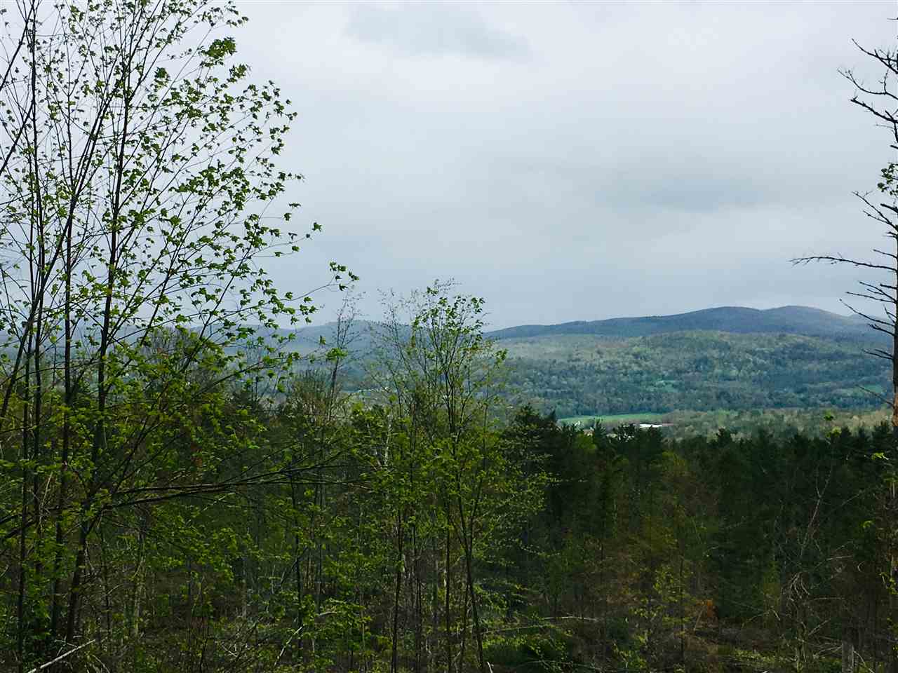 0 Moses Clark Road Landaff, NH 03585 - Photo 3 of 9
