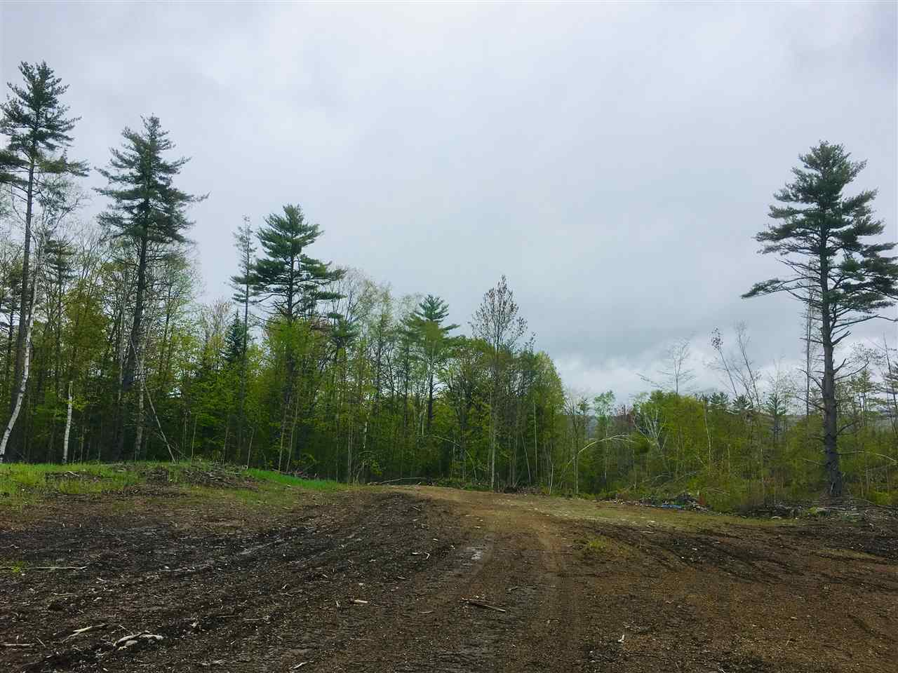 0 Moses Clark Road Landaff, NH 03585 - Photo 6 of 9