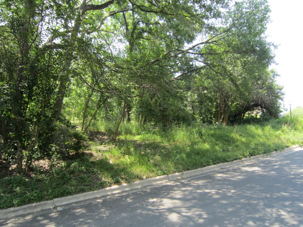 1809 Cedar Ridge Drive Austin, TX 78741 - Photo 1 of 1 a view of a street with a trees