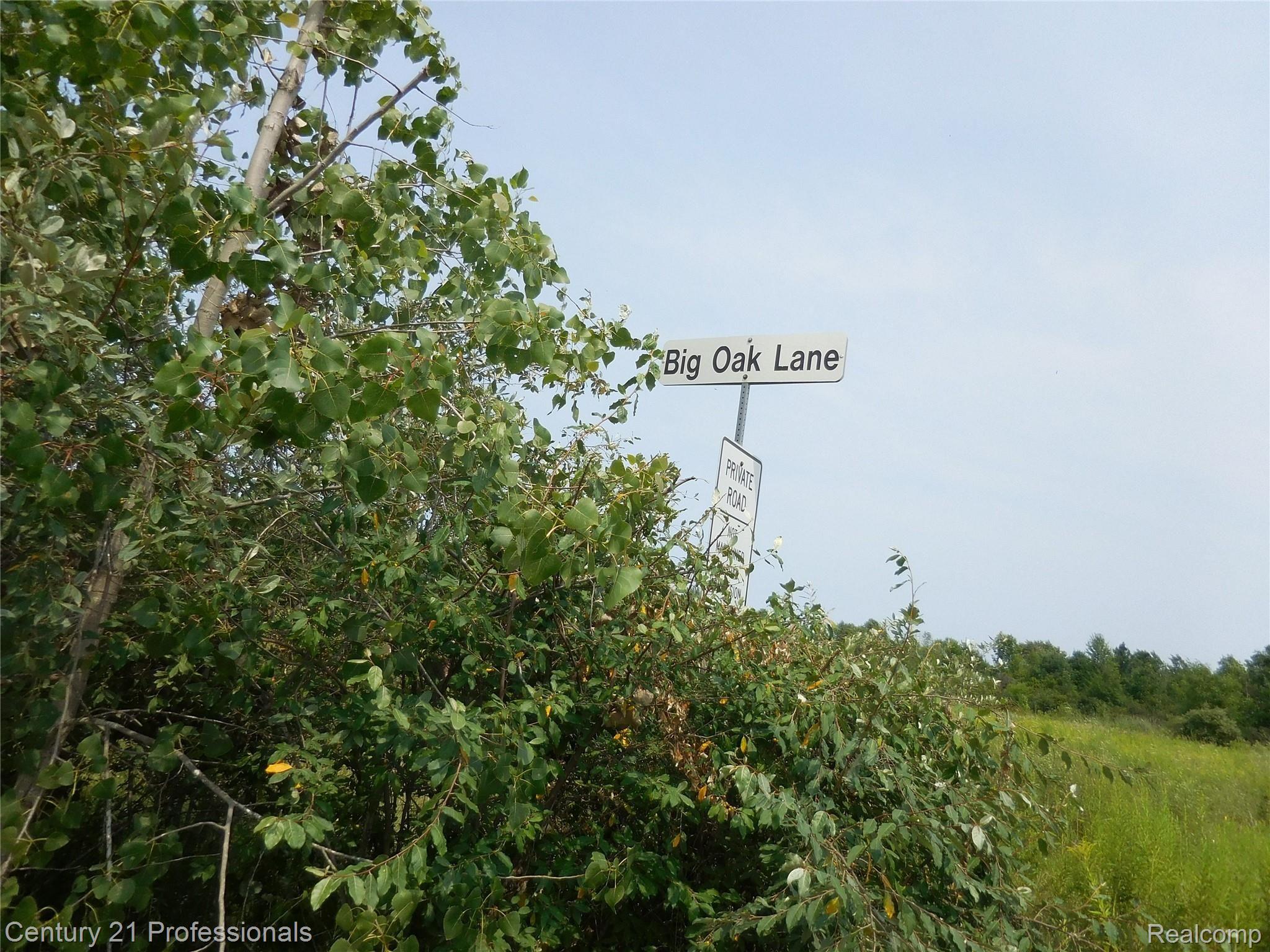 0 Church Road Imlay City, MI 48444 - Photo 33 of 33 DSCN2343.JPG