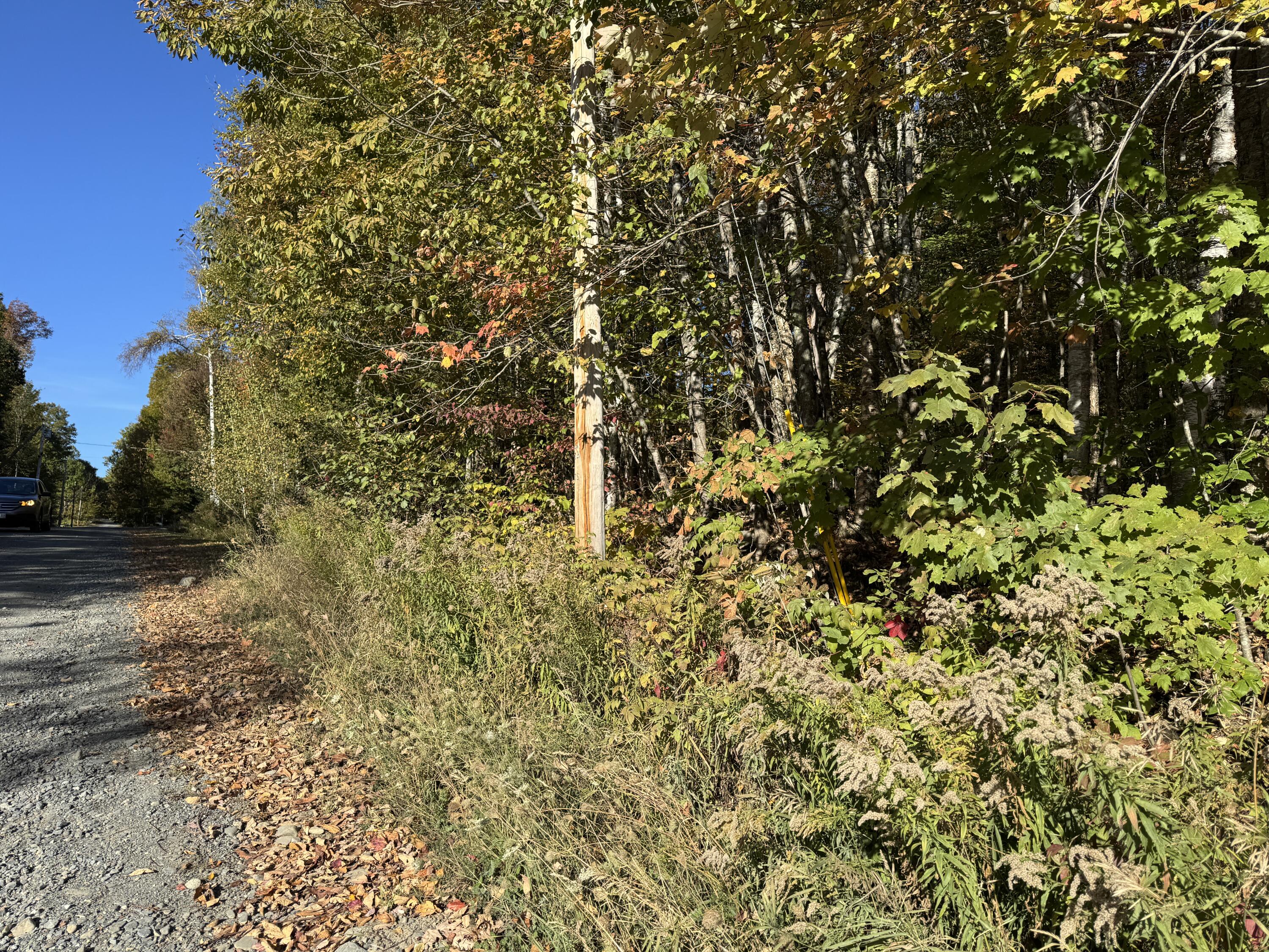 0 Ross Hill Road St. Albans, ME 04971 - Photo 5 of 9