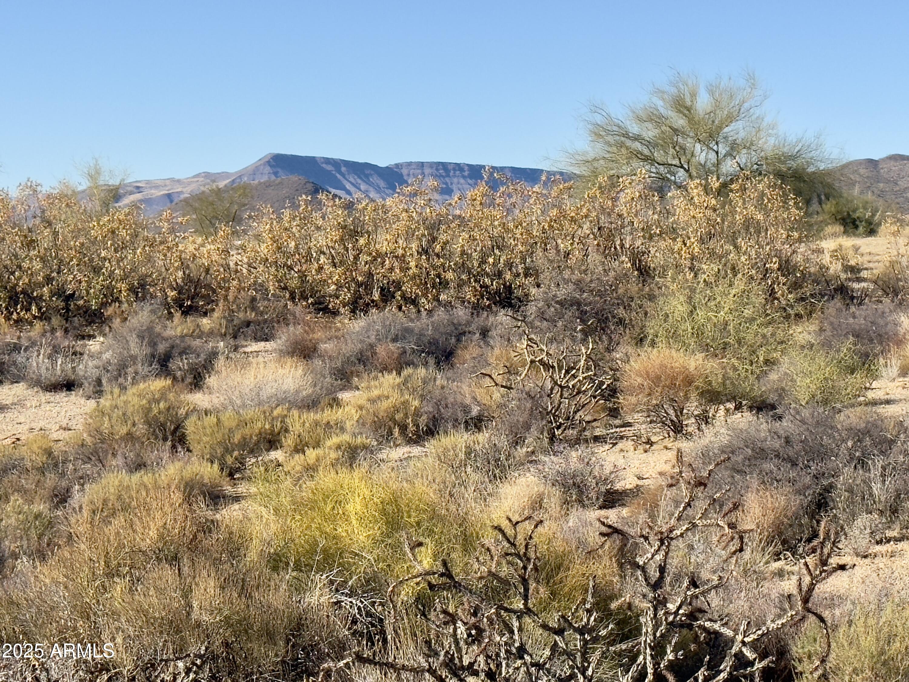 0 North Romping Road, Unit 3 Carefree, AZ 85377 - Photo 9 of 9 Natural vegetation