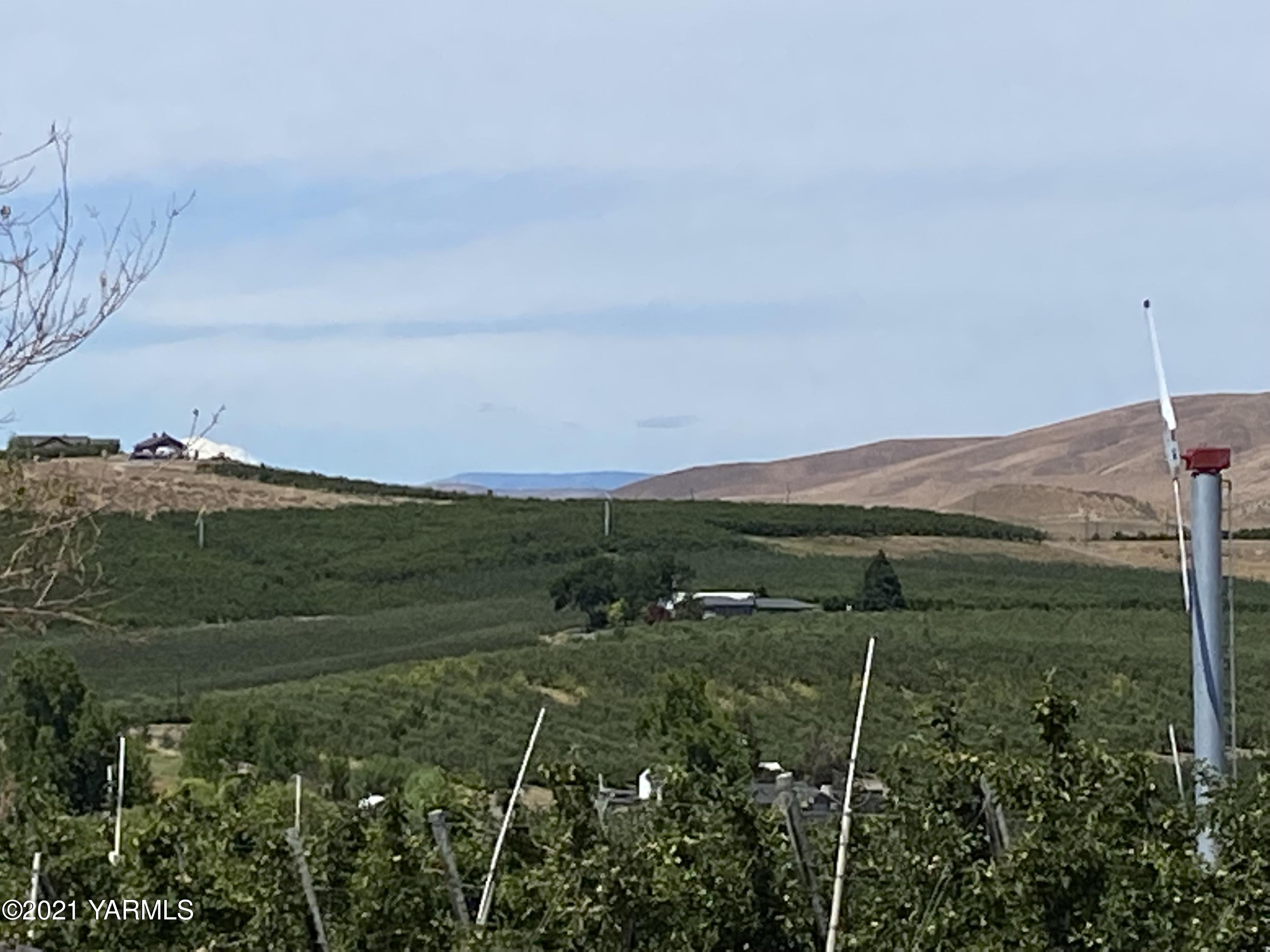 363 Riggins Road Wapato, WA 98951 - Photo 13 of 14 a view of an mountain from a yard